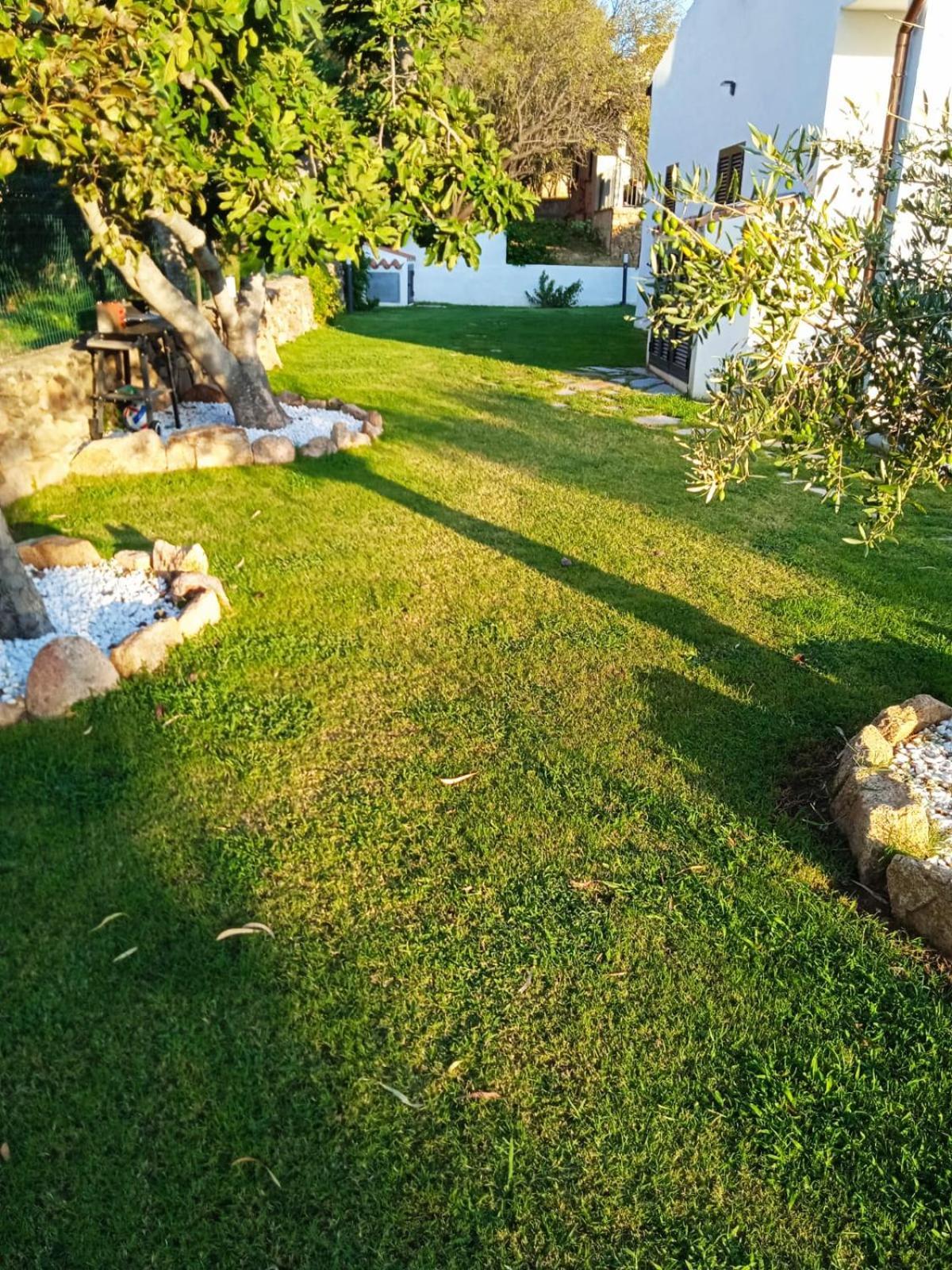 Villetta Cala D'Ambra Сан-Теодоро Екстер'єр фото